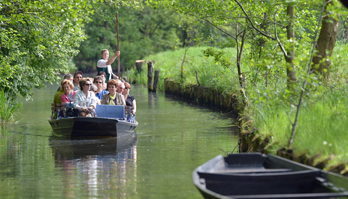 highlight 06 gross highlight 06 gross